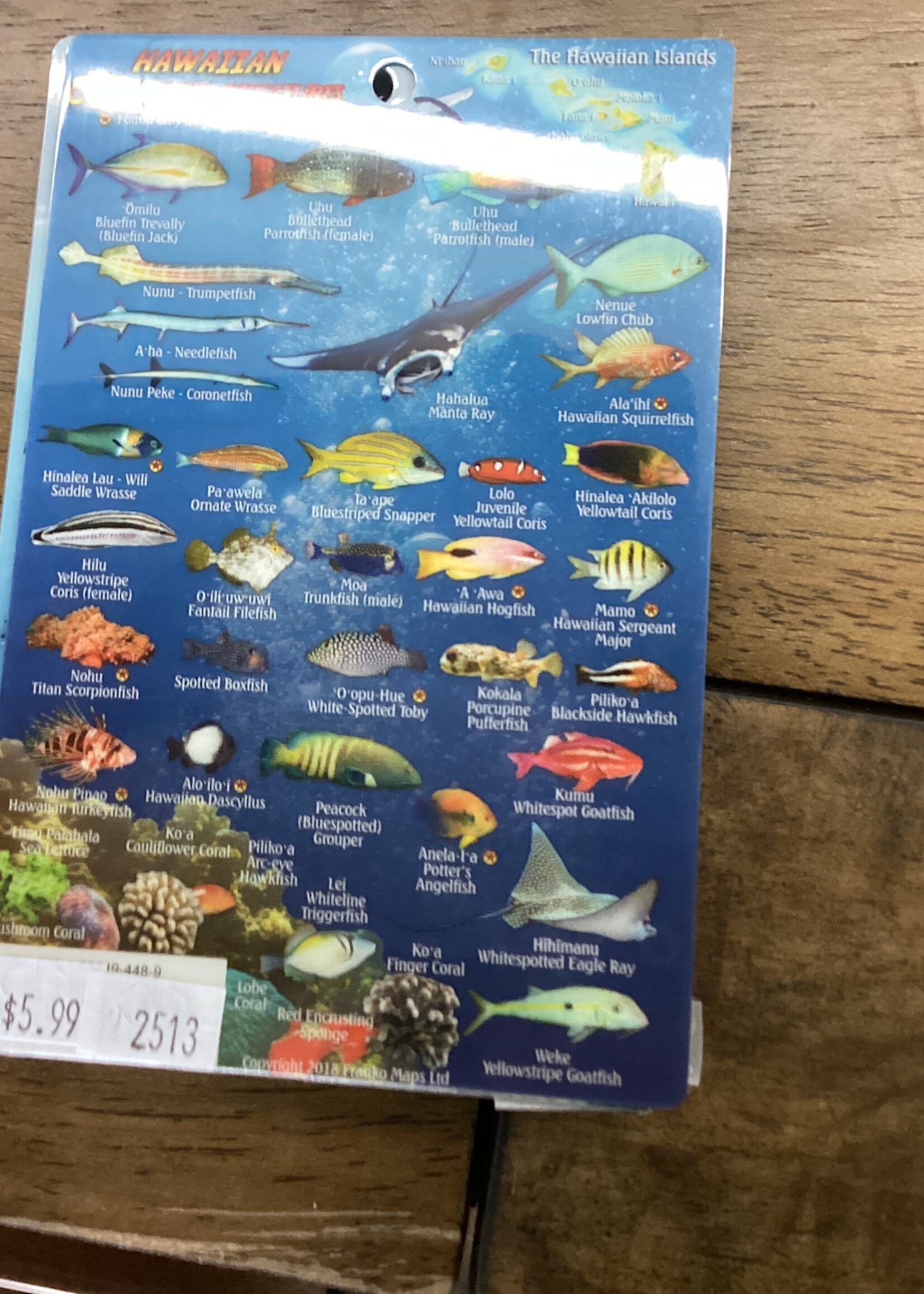 Franko Maps Franko Maps -  Big Island  Hawaii Reef Creatures - Mini Guide