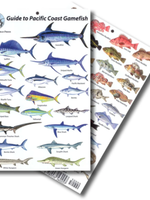 Natural World Press Natural World Press - Pacific Coast Gamefish ID Card