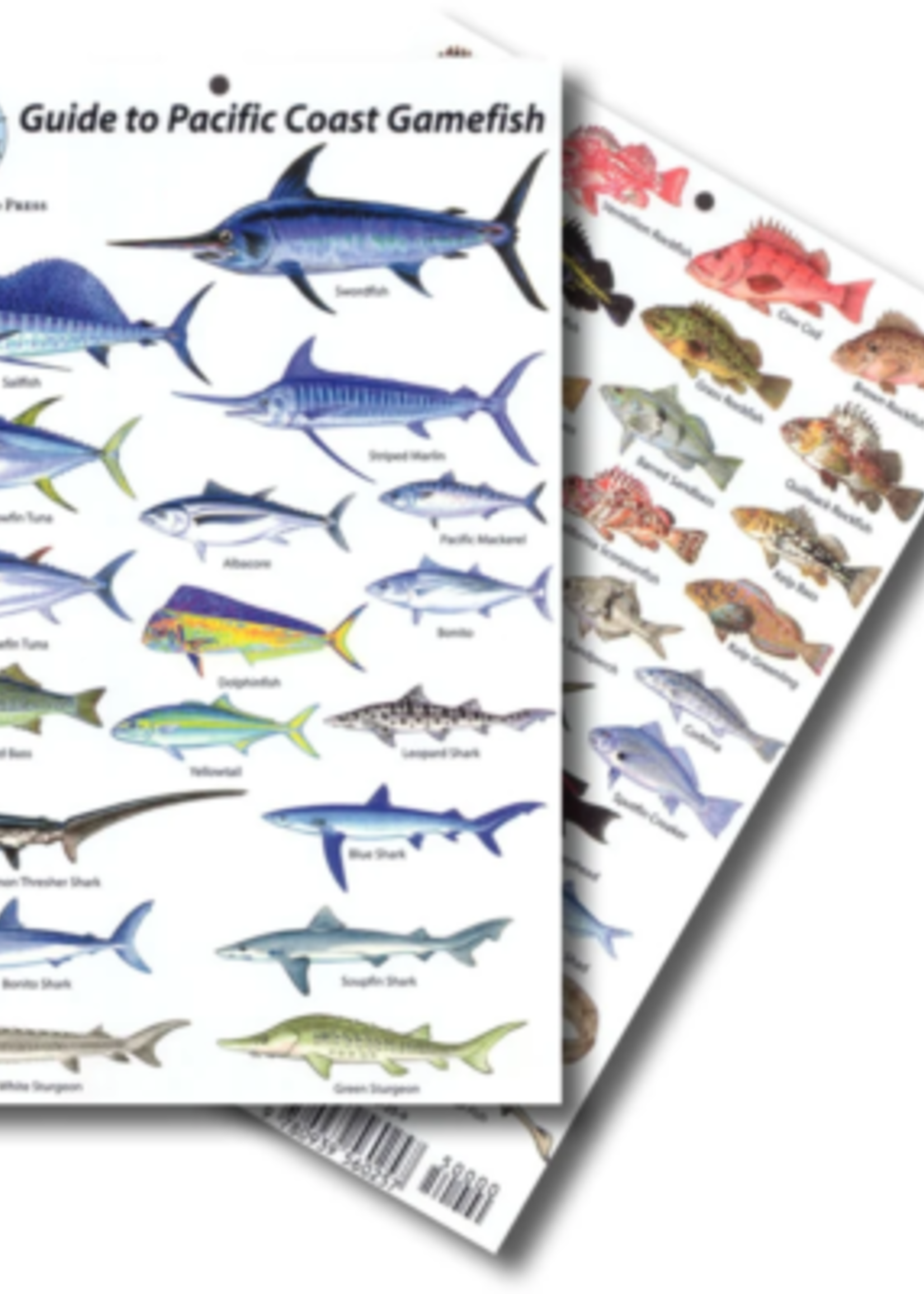 Natural World Press Natural World Press - Pacific Coast Gamefish ID Card