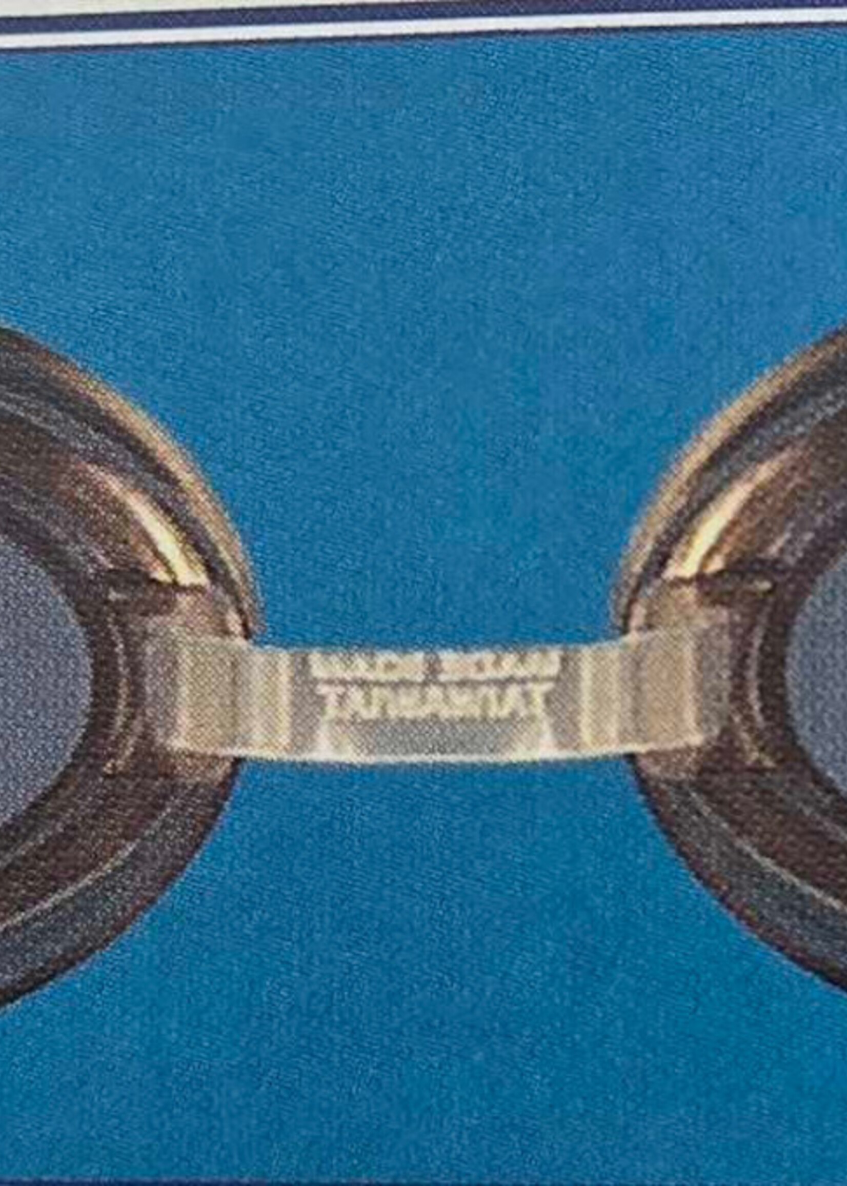 Trident Trident Deluxe Goggles - Black