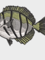 Mauamau LLC Mauamau Iron-On Patches -