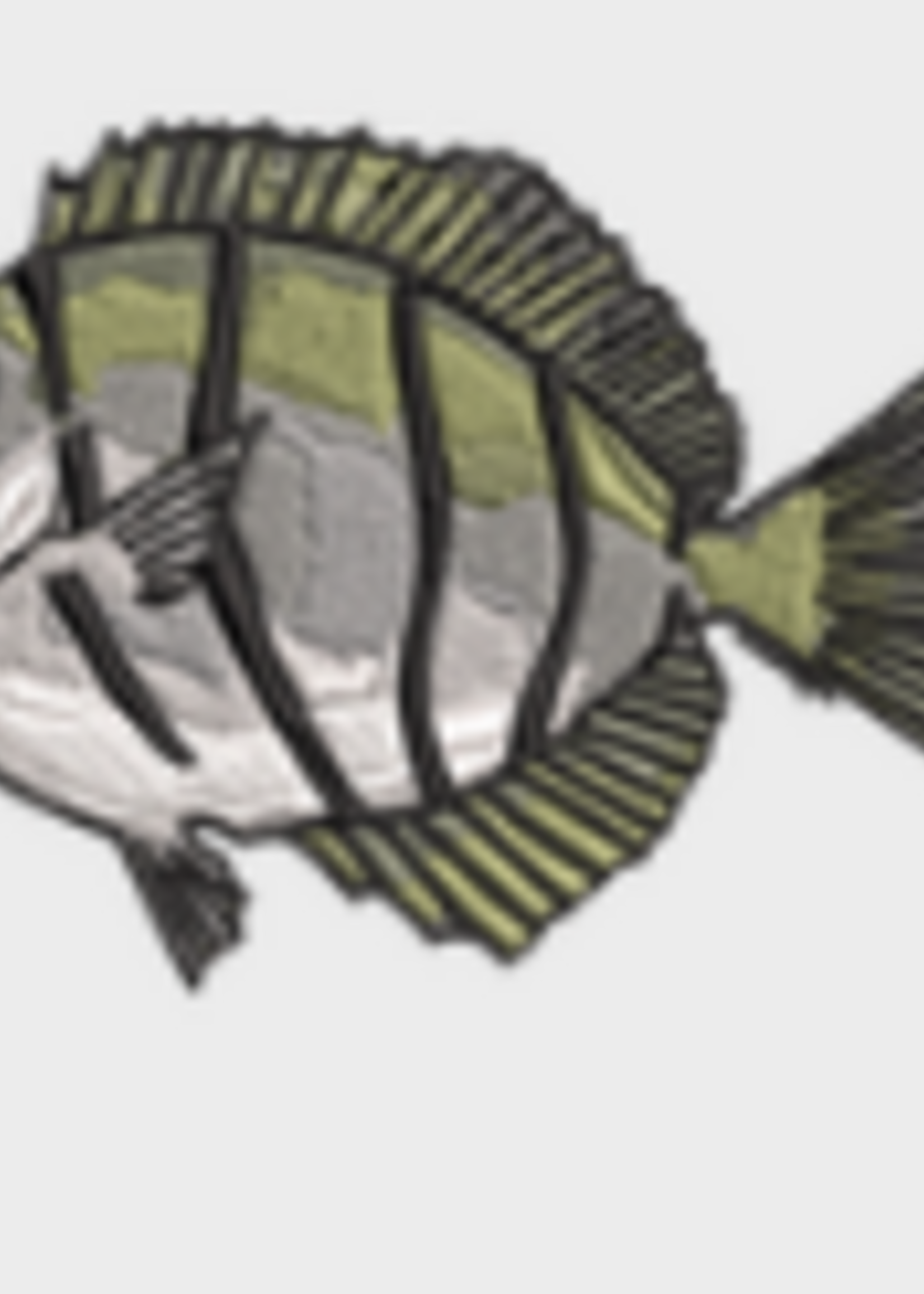 Mauamau LLC Mauamau Iron-On Patches -