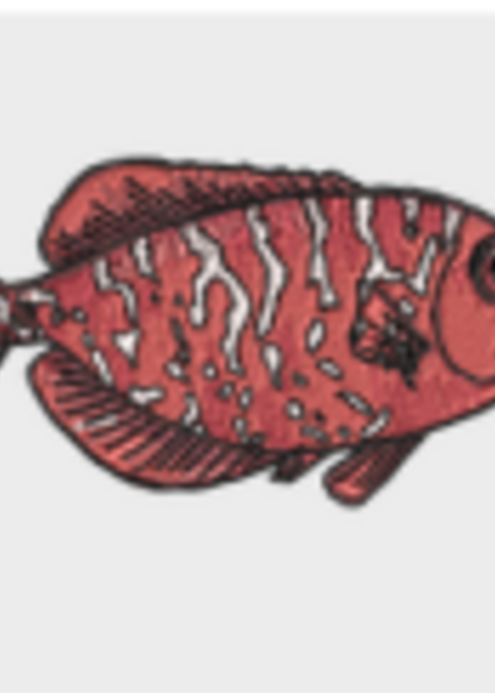 Mauamau LLC Mauamau Iron-On Patches -