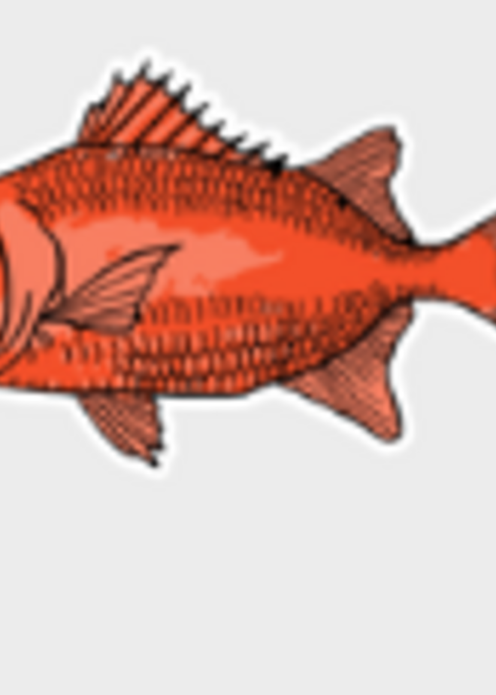 Mauamau LLC Mauamau Iron-On Patches -