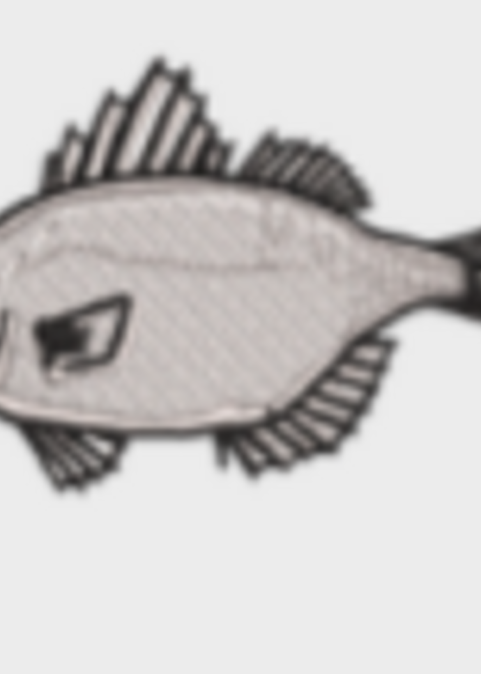 Mauamau LLC Mauamau Iron-On Patches -