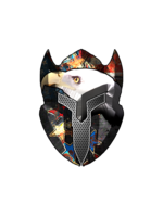 LWN Liberty Warrior Nation Bald Eagle DTF