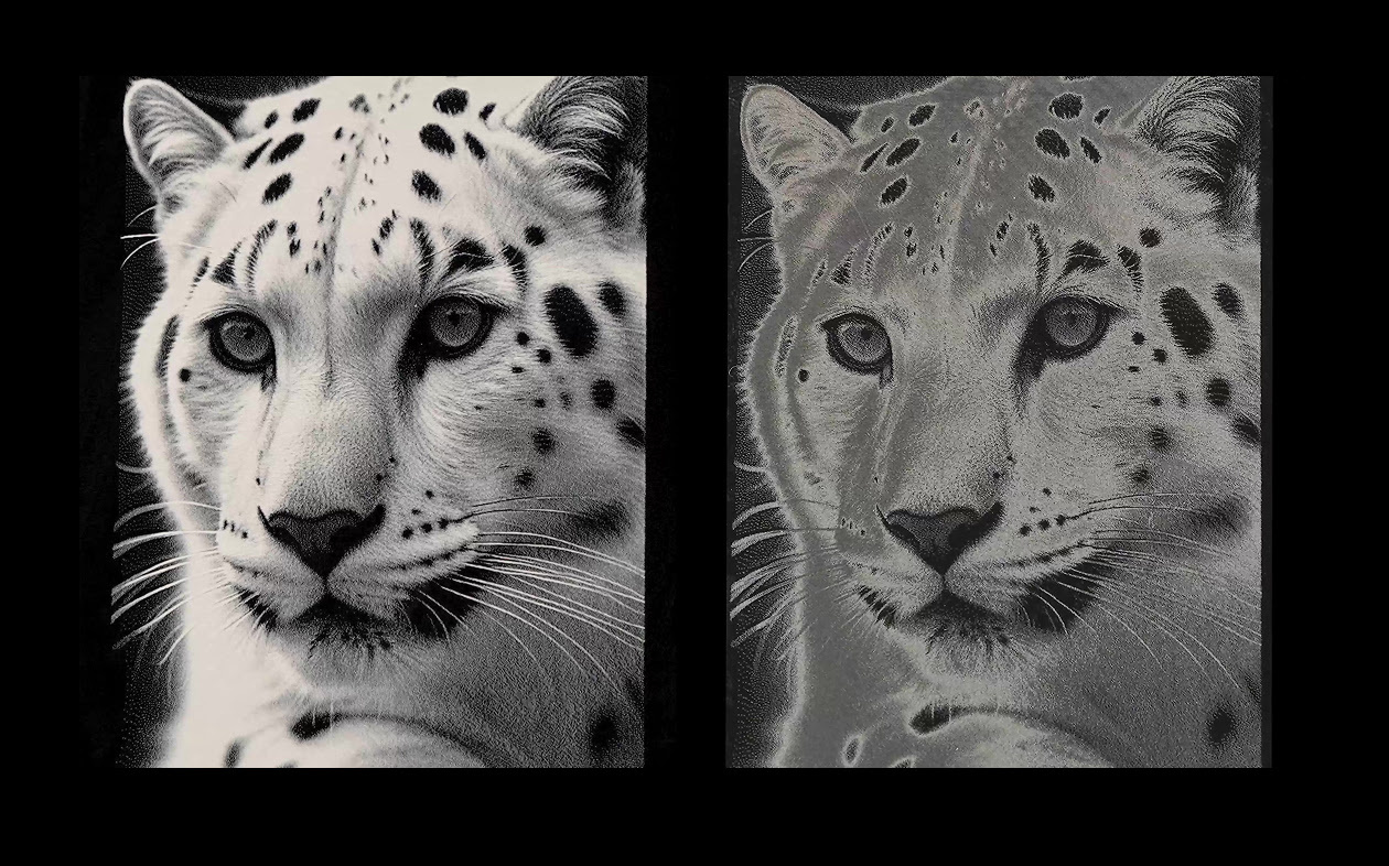 Side-by-side comparison view of a laser engraved leopard, comparing the detail.
