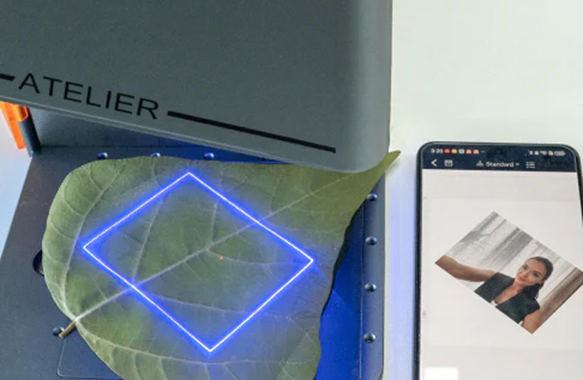 Projected preview of the design on the leaf.