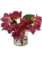 Bougainvillea in 3" Cylinder (WM4)