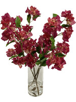 Bougainvillea in 8"H  Cylinder (WM2)