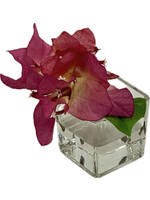 Bougainvillea Votive (WM12)