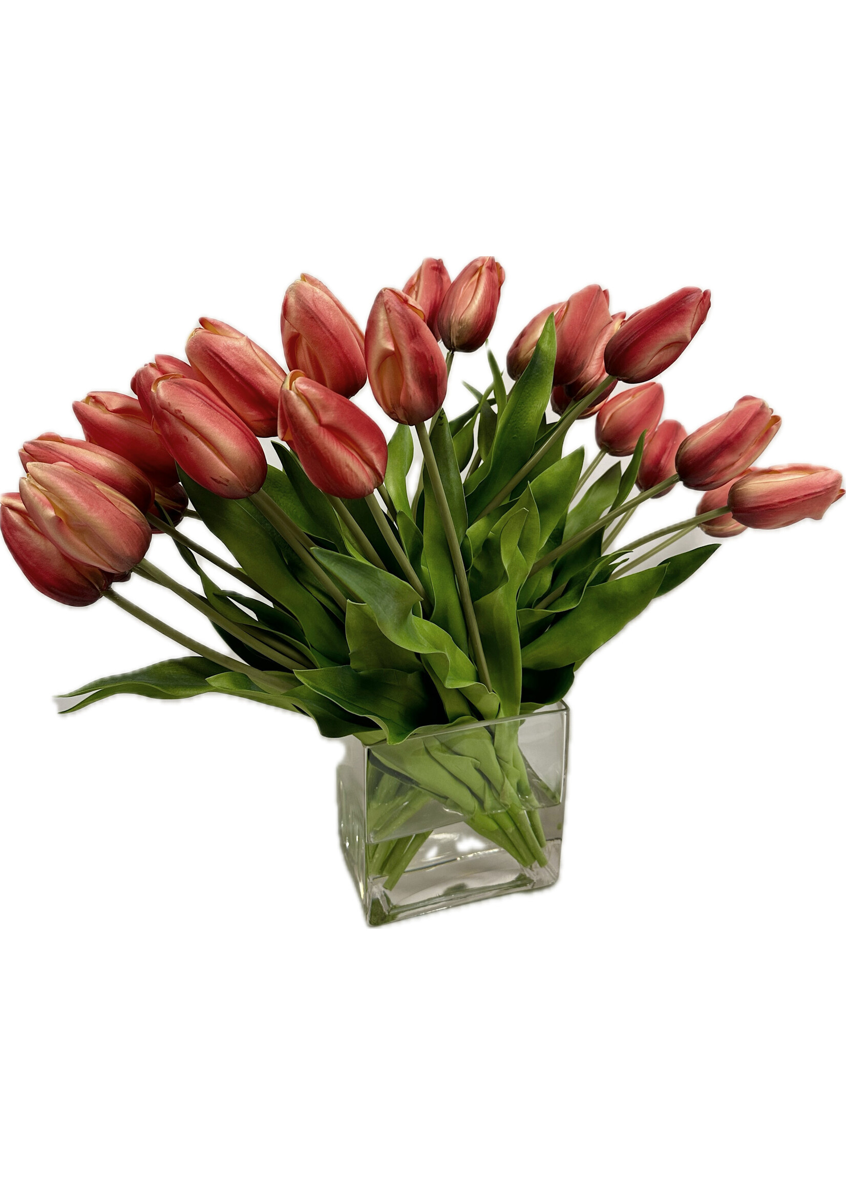 Dutch Tulips in Rectangle Vase-YLOR  (WM2)