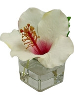 Hibiscus Votive-Cream Red (WM12)