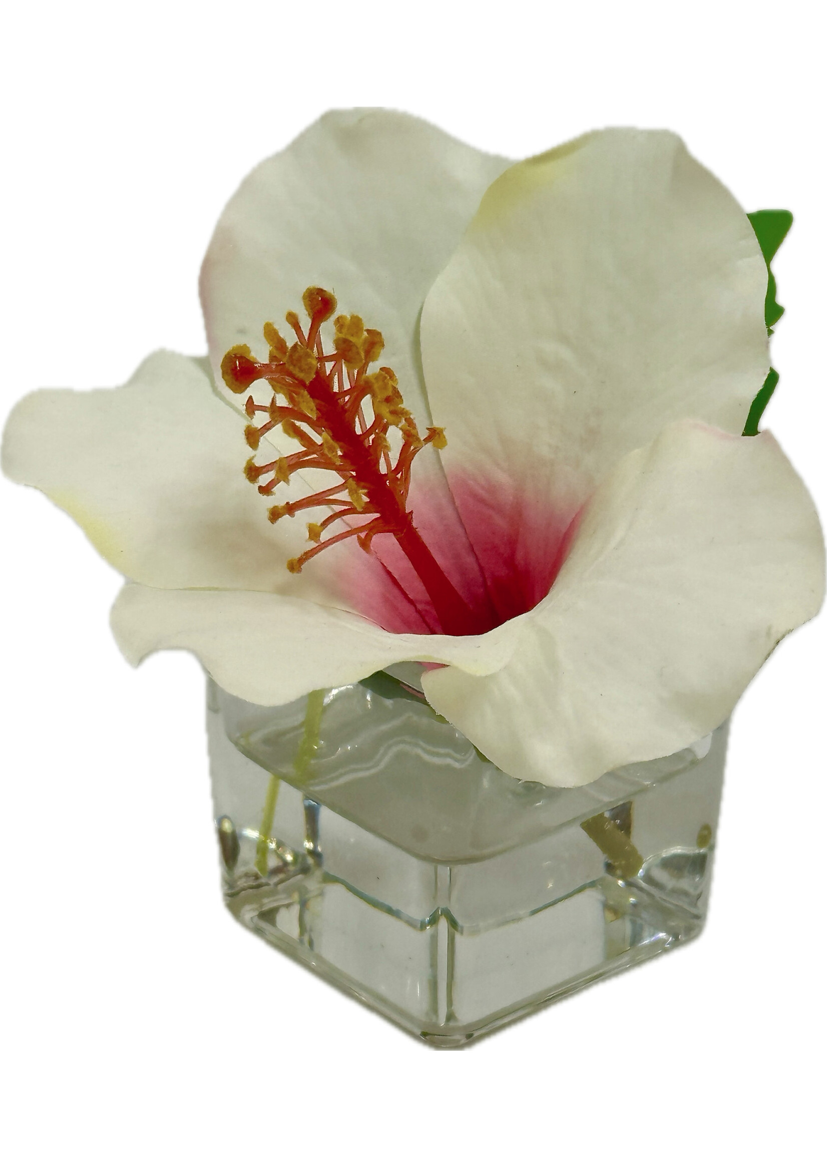 Hibiscus Votive-Cream Red (WM12)