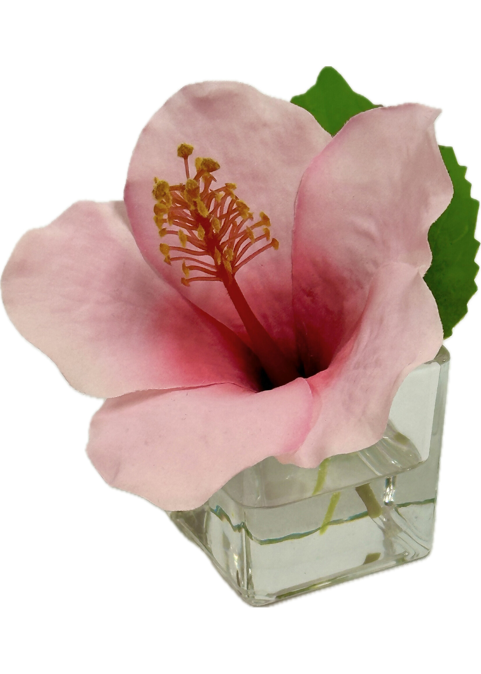 Hibiscus Votive-Pink Red ($18 List)