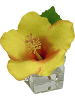Hibiscus Votive-Yellow Orange ($18 List)