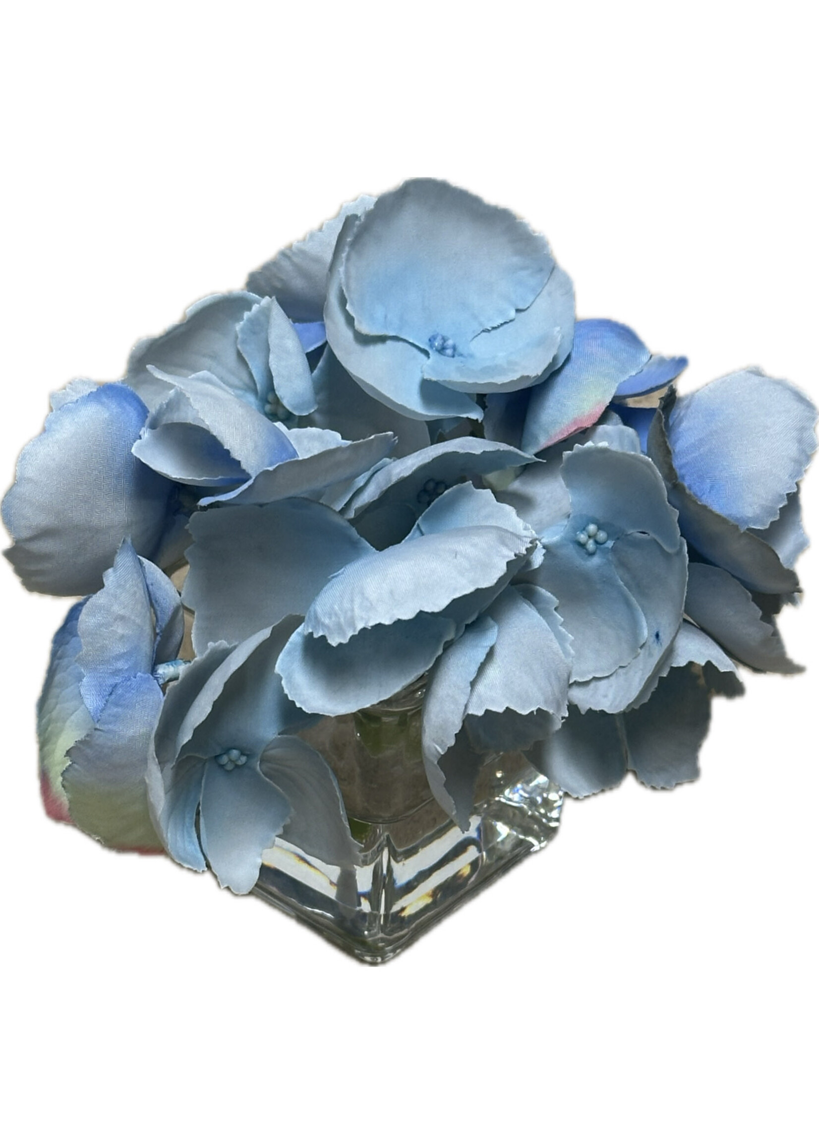 Hydrangea Votive-Light Blue ($18 List)