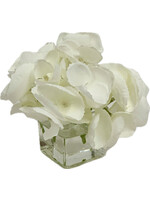 Hydrangea Votive-White (WM12)