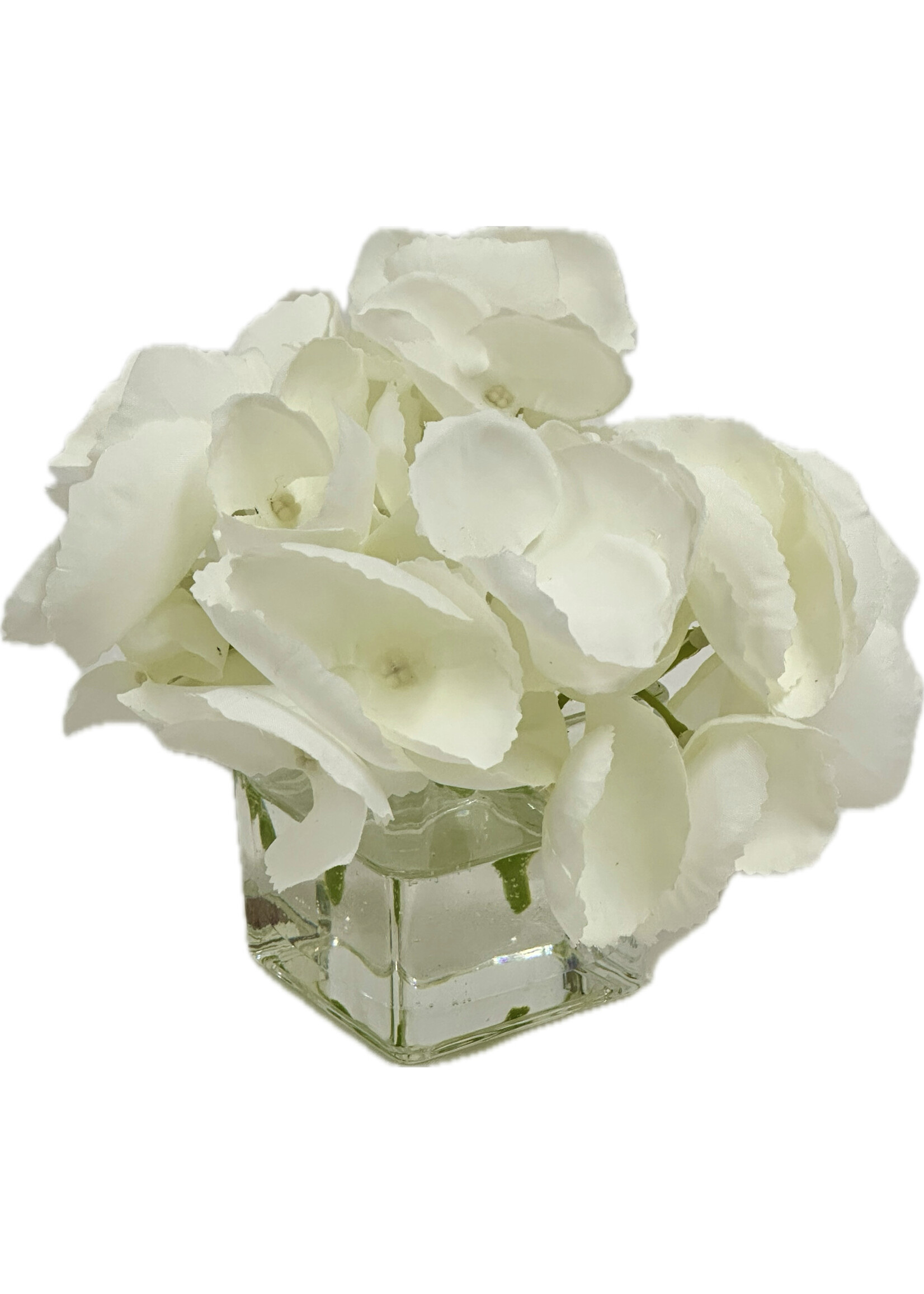 Hydrangea Votive-White (WM12)