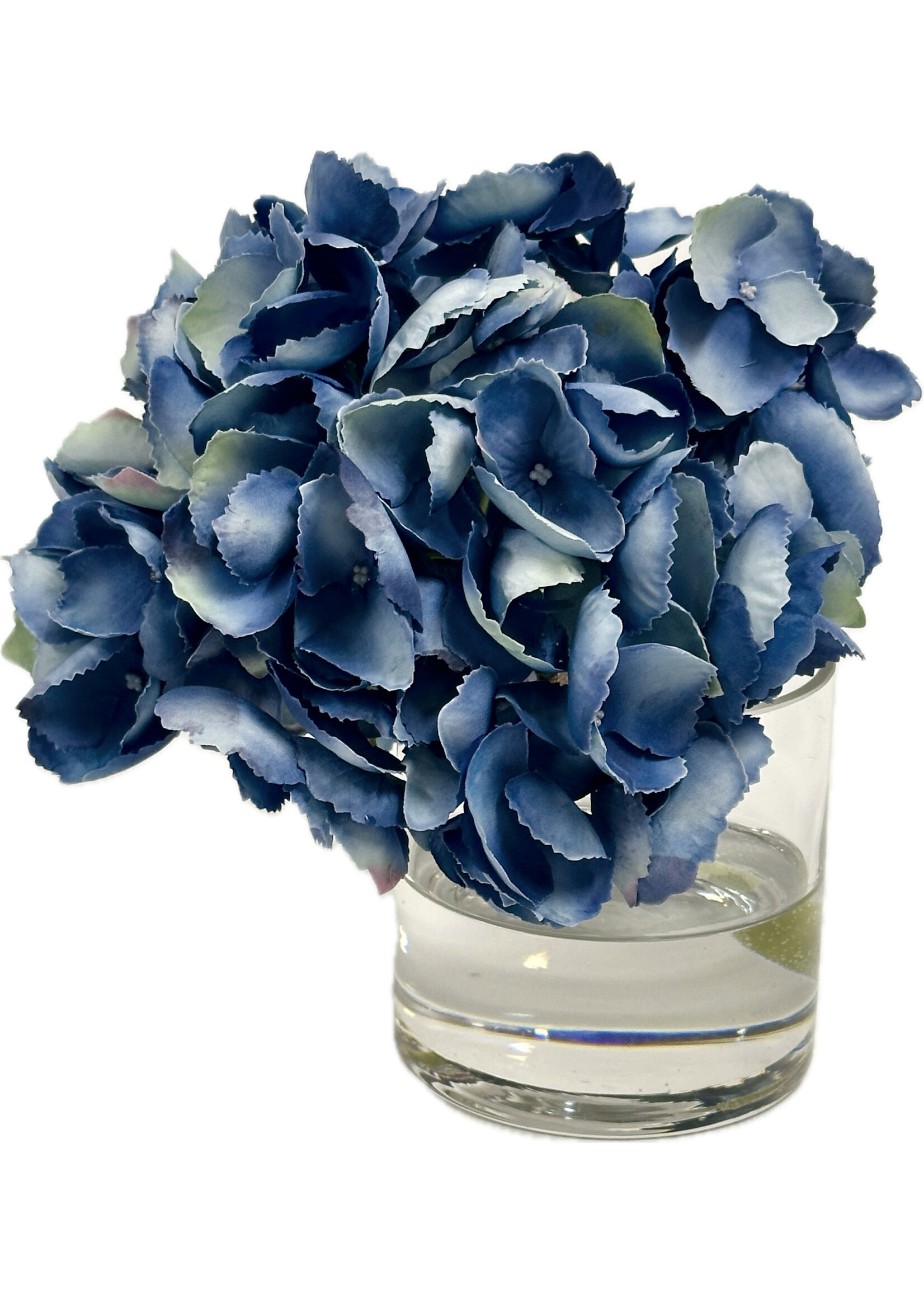 Hydrangea x1 in 4" Cylinder-Blue (WM2)