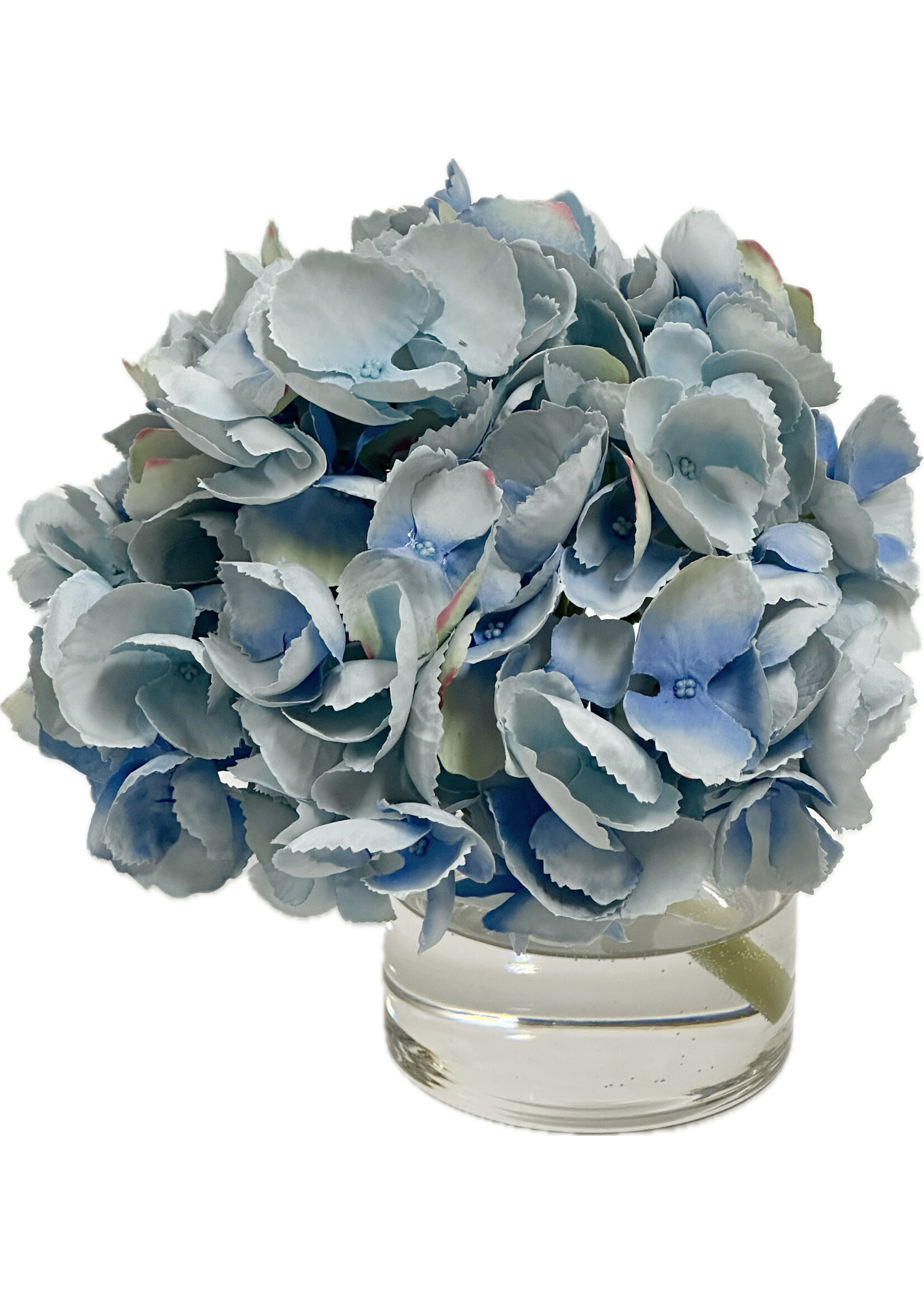Hydrangea x1 in 4" Cylinder-Light Blue (WM2)