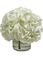 Hydrangea x3 in 5" Cylinder-White ($200 List)