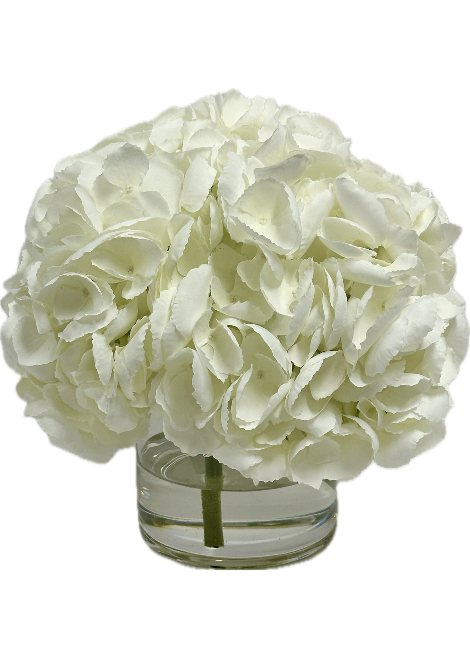 Hydrangea x3 in 5" Cylinder-White ($200 List)