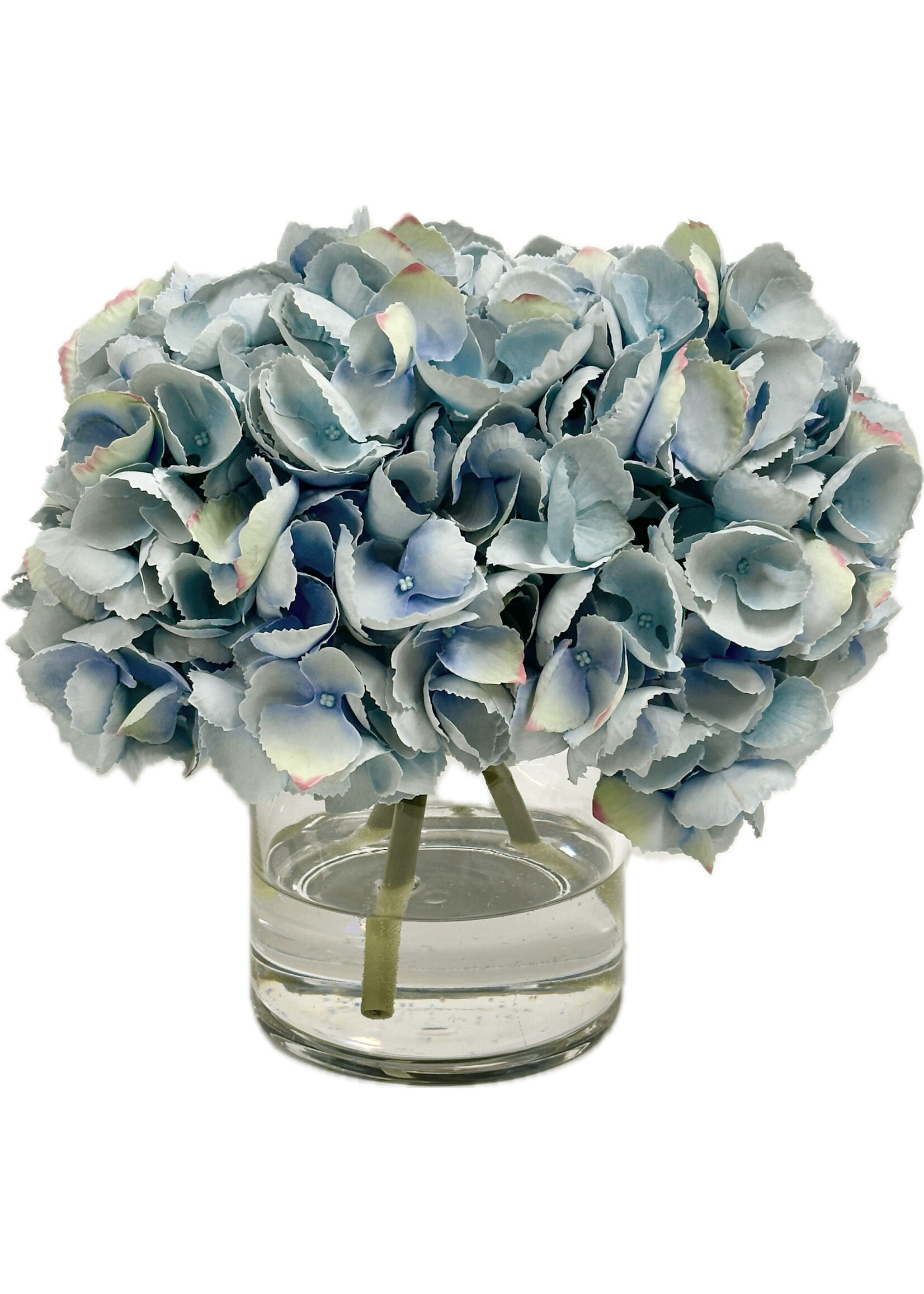 Hydrangea x3 in 5" Cylinder-Light Blue (WM2)