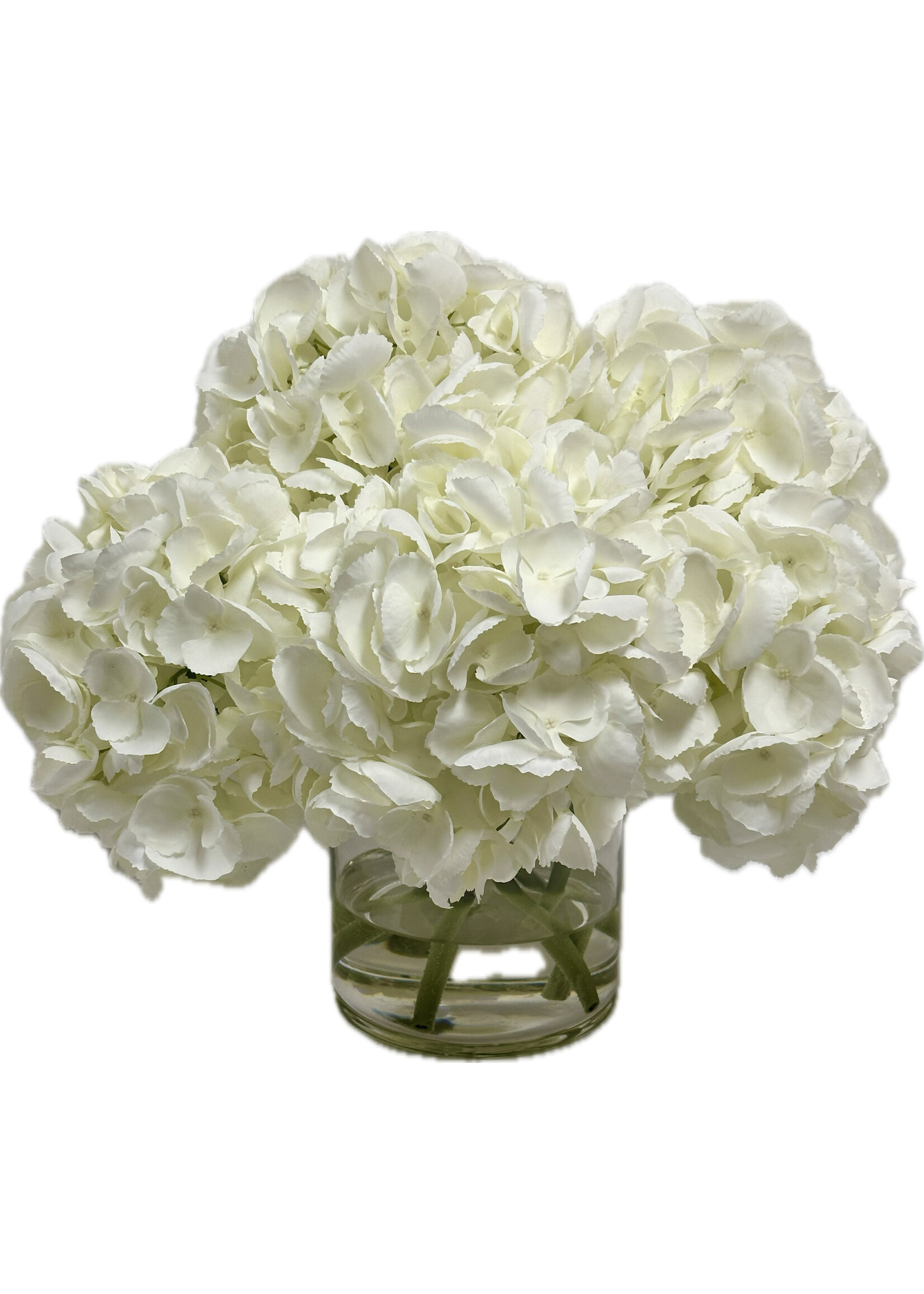 Hydrangea x7 in 6" Cylinder-White (WM2)