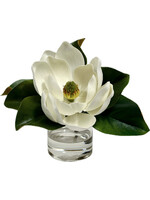 Magnolia x1 in 4" Cylinder-White (WM2)