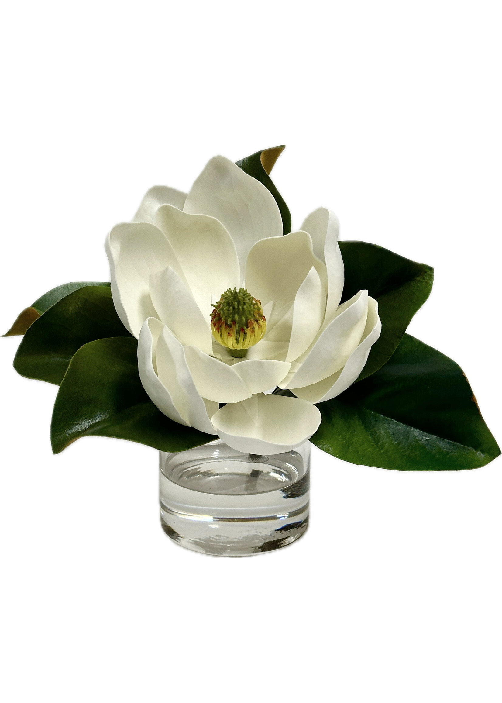 Magnolia x1 in 4" Cylinder-White (WM2)