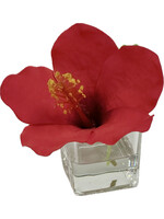 Hibiscus Votive-Red (WM12)