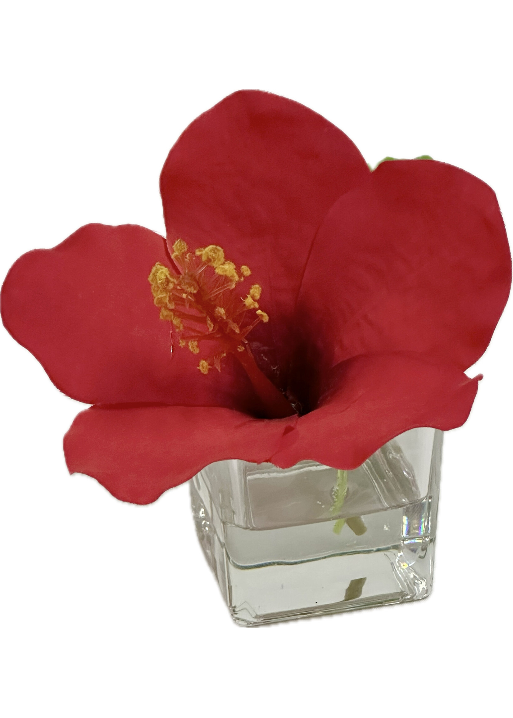 Hibiscus Votive-Red (WM12)