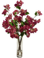 Bougainvillea in 14"H  Cylinder (WM2)