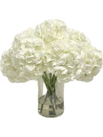 Hydrangea x10 in 6" Cylinder-White (WM2)