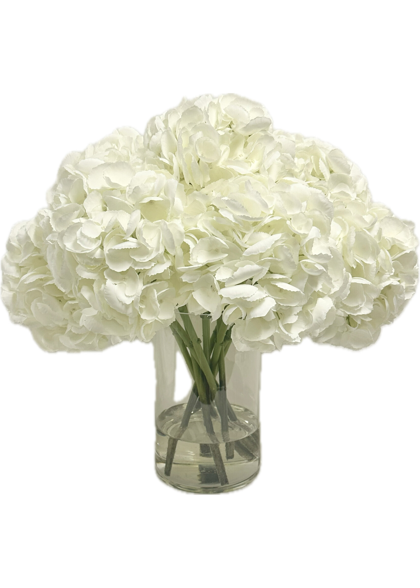 Hydrangea x10 in 6" Cylinder-White (WM2)