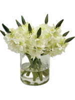 Star Of Bethlehem in 4" Cylinder-White (WM2)