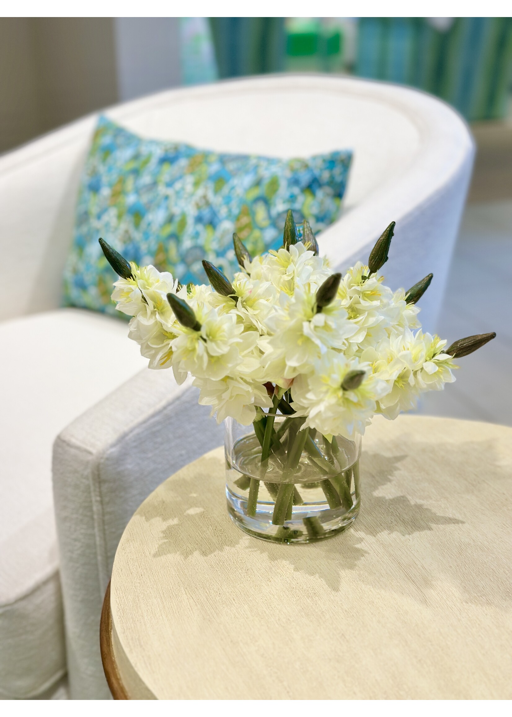 Star Of Bethlehem in 4" Cylinder-White (WM2)