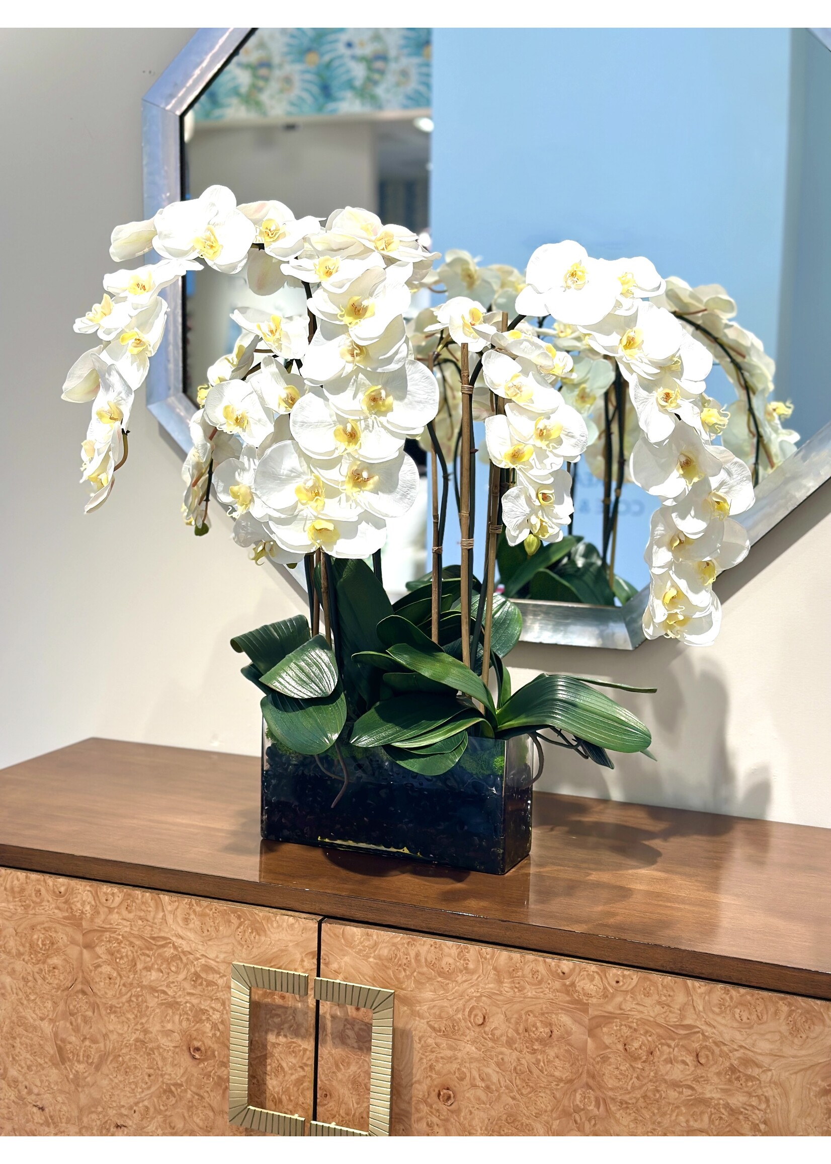 Phalaenopsis Orchid x7 in 12" Rectangle-White (WM1)