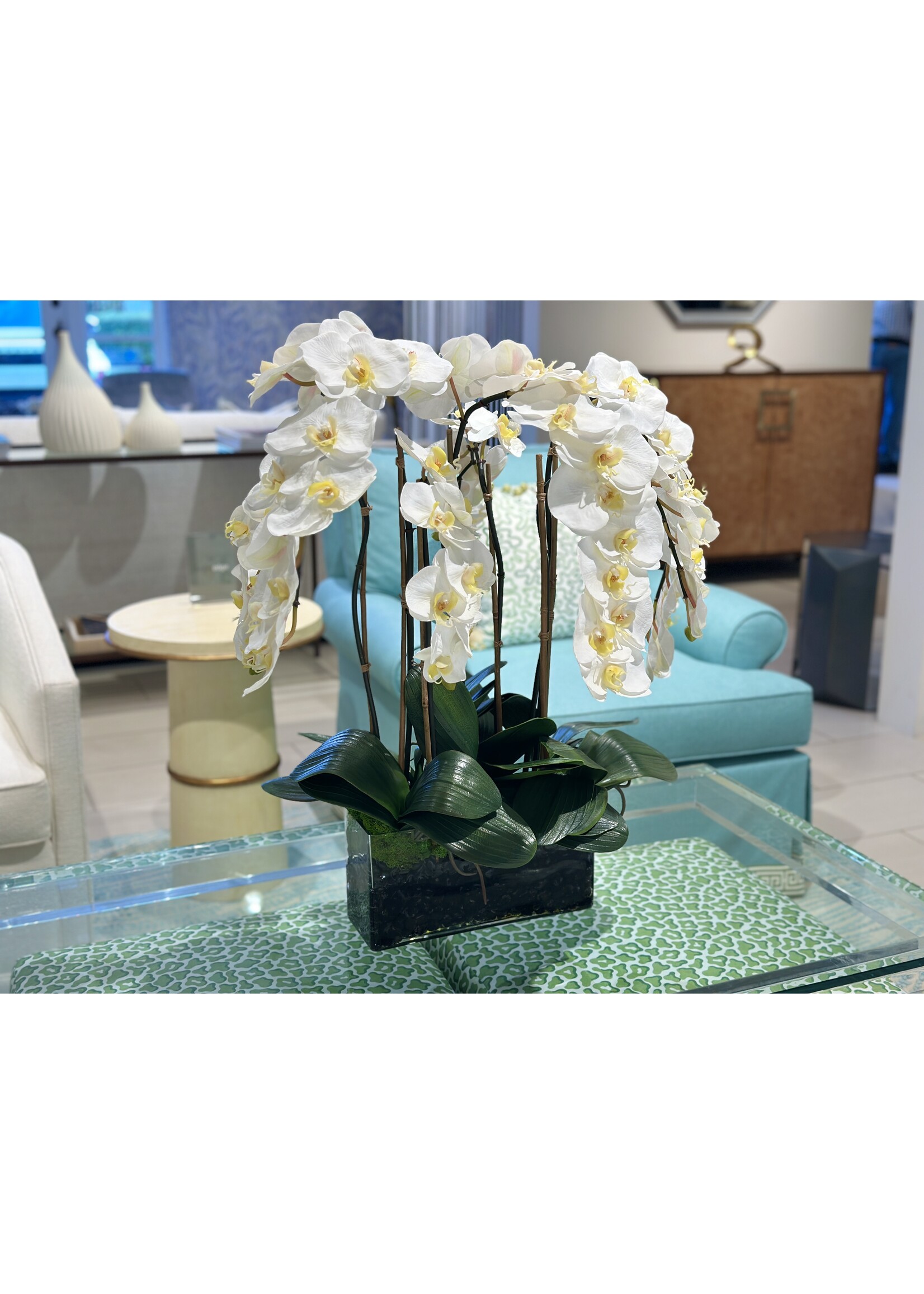 Phalaenopsis Orchid x7 in 12" Rectangle-White (WM1)