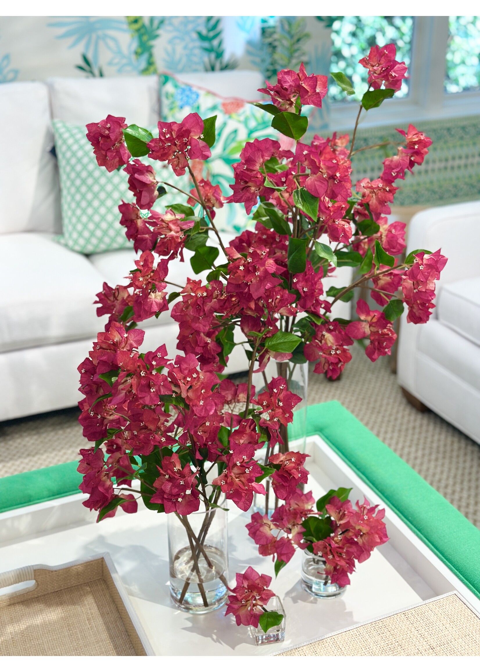 Bougainvillea in 14"H  Cylinder (WM2)