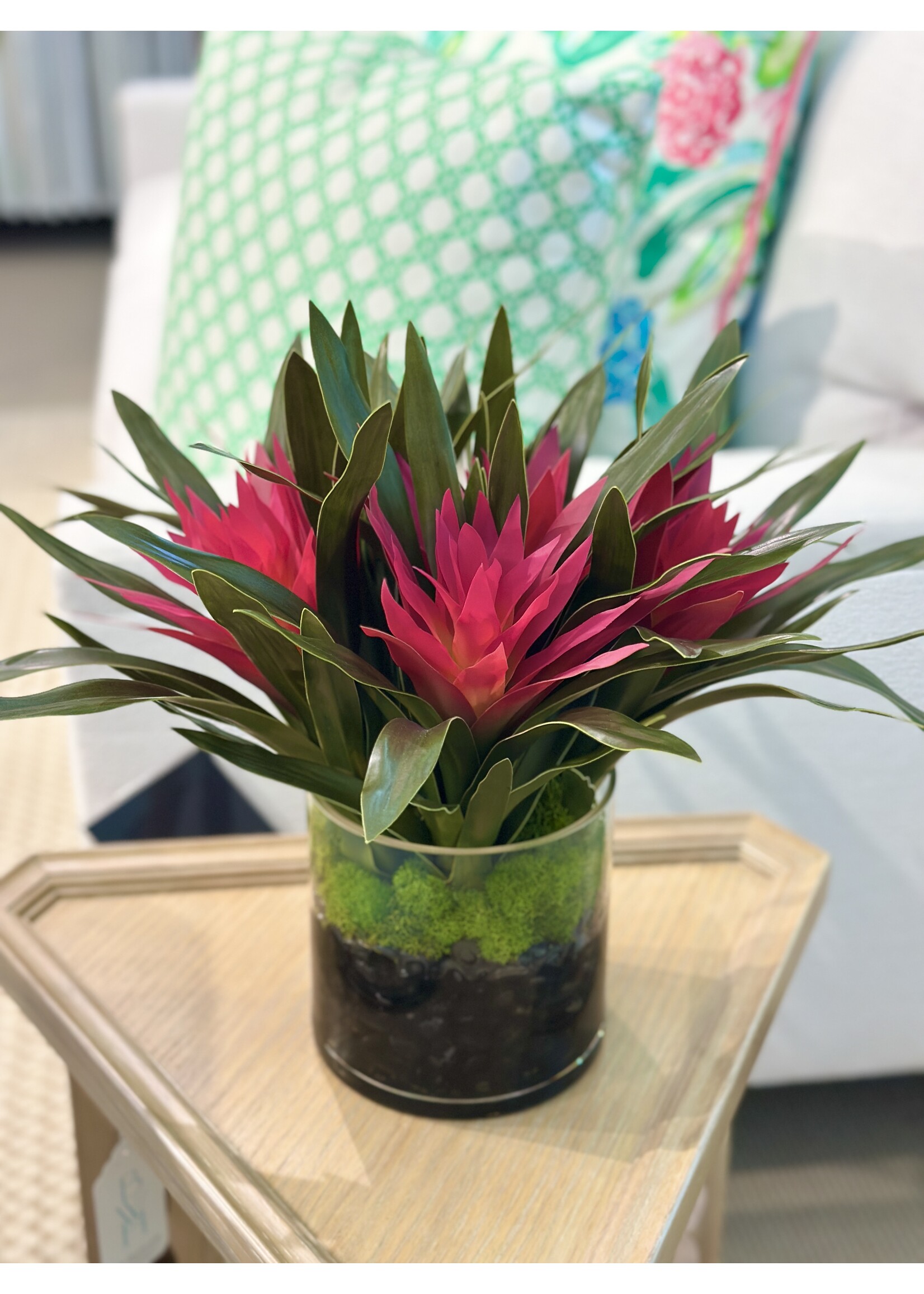 Ginger in 6" Cylinder-Pink (WM2)