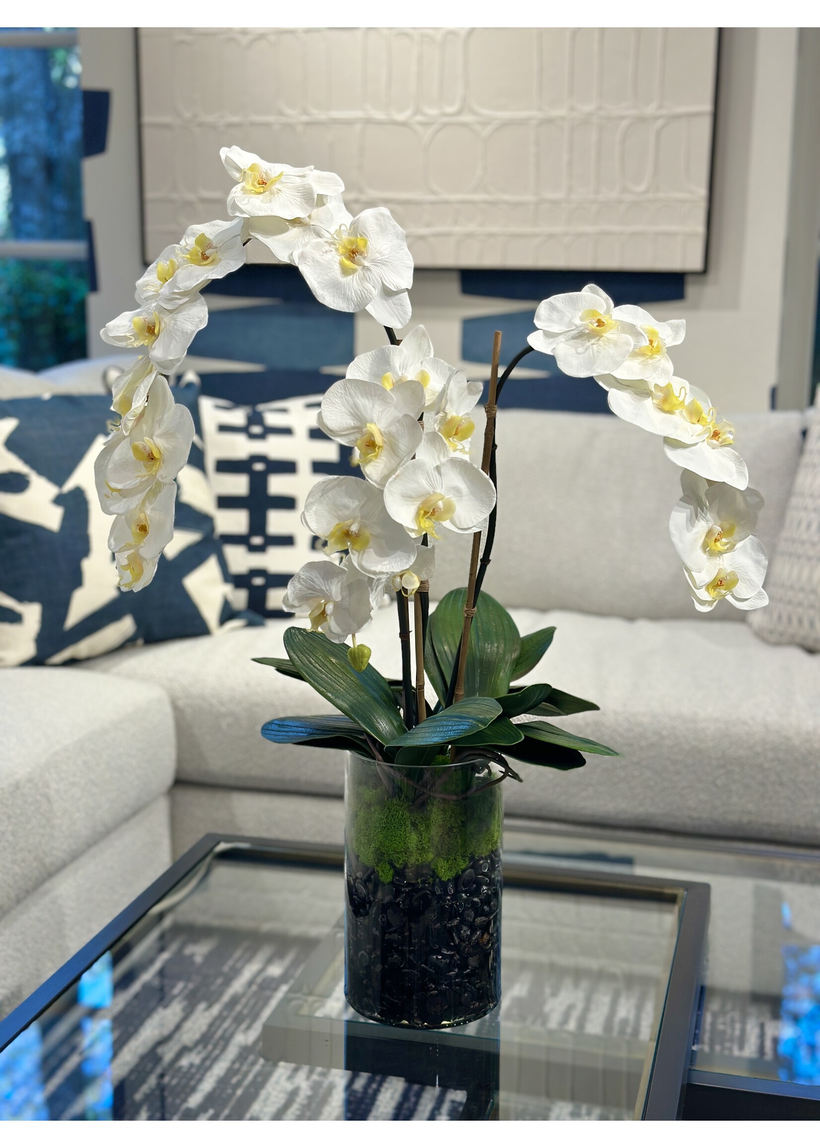 Large Phalaenopsis Orchid x3 in Cylinder-White  (WM2)