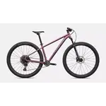 Specialized Rockhopper Expert