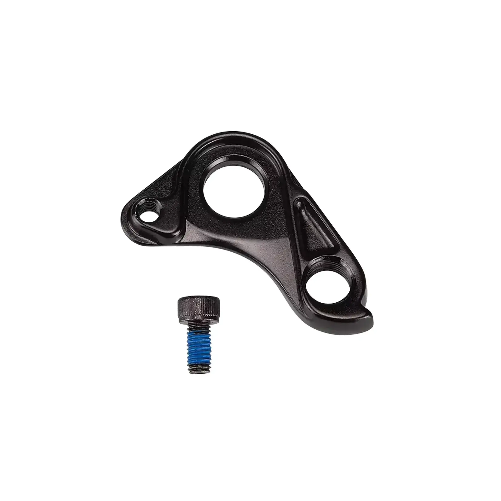 Specialized HGR MY21 Road Disc, Thru-Axle Der Hanger, w/ Bolt