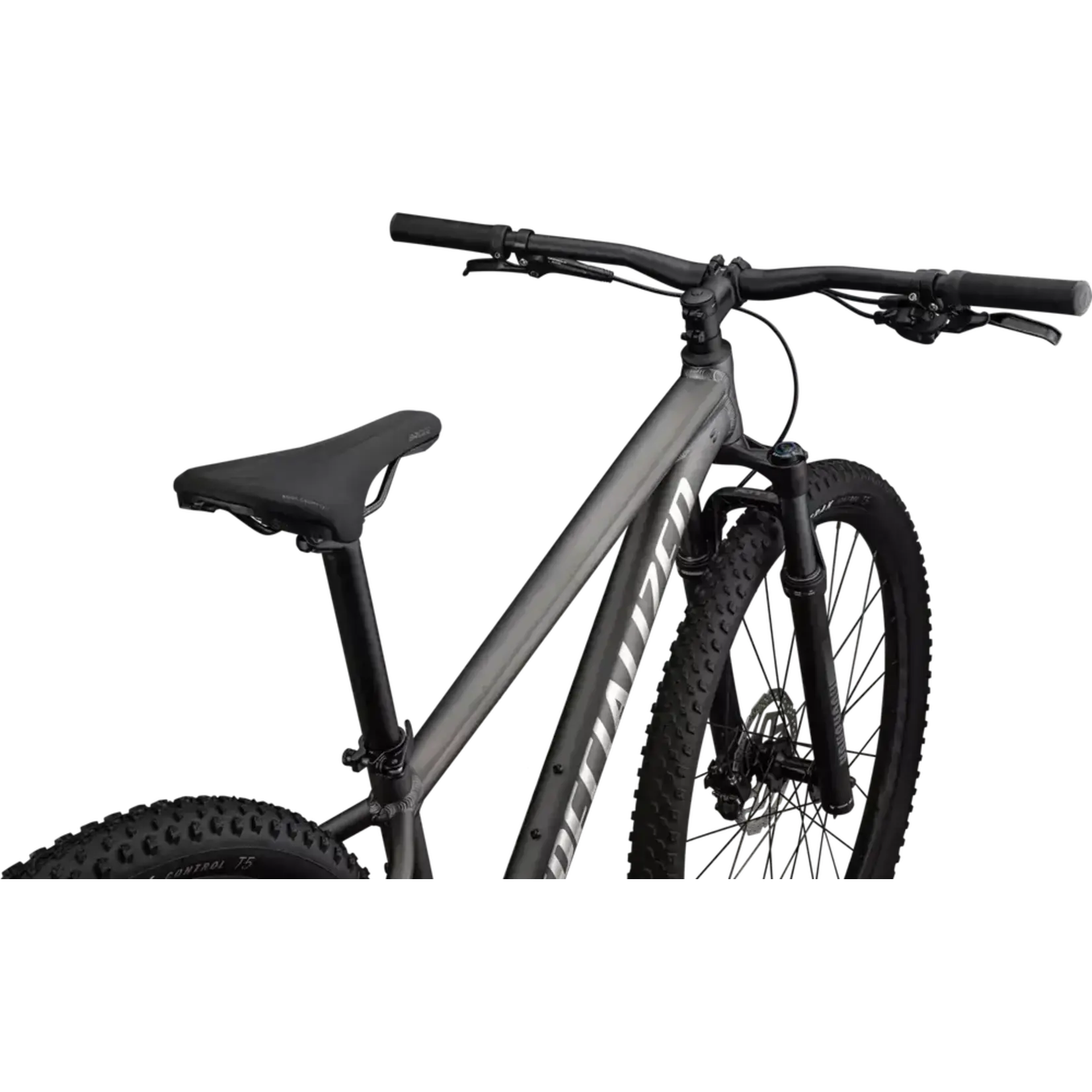 Specialized Roockhopper Expert Satin Smoke/Gloss Chrome