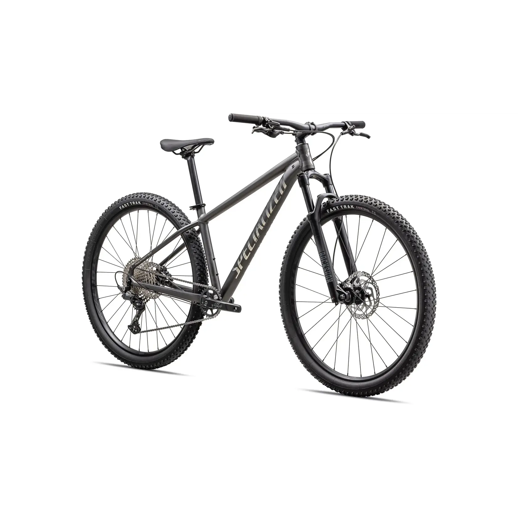 Specialized Roockhopper Expert Satin Smoke/Gloss Chrome