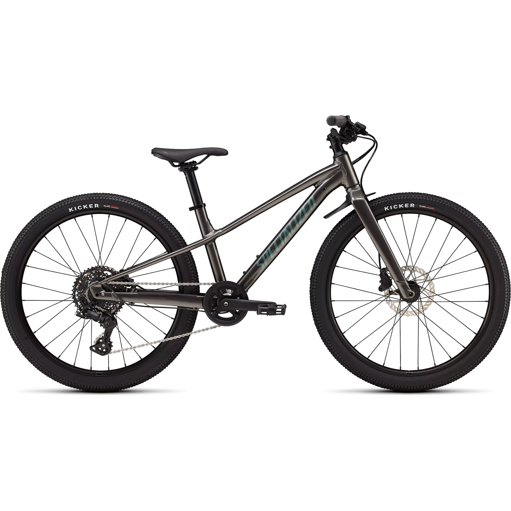 Specialized Riprock 24 Gloss Smoke Fjord Metallic