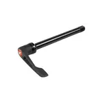 Specialized AXL Rear, DT Swiss, Rws Thru-Axle, 12X100mm - Black