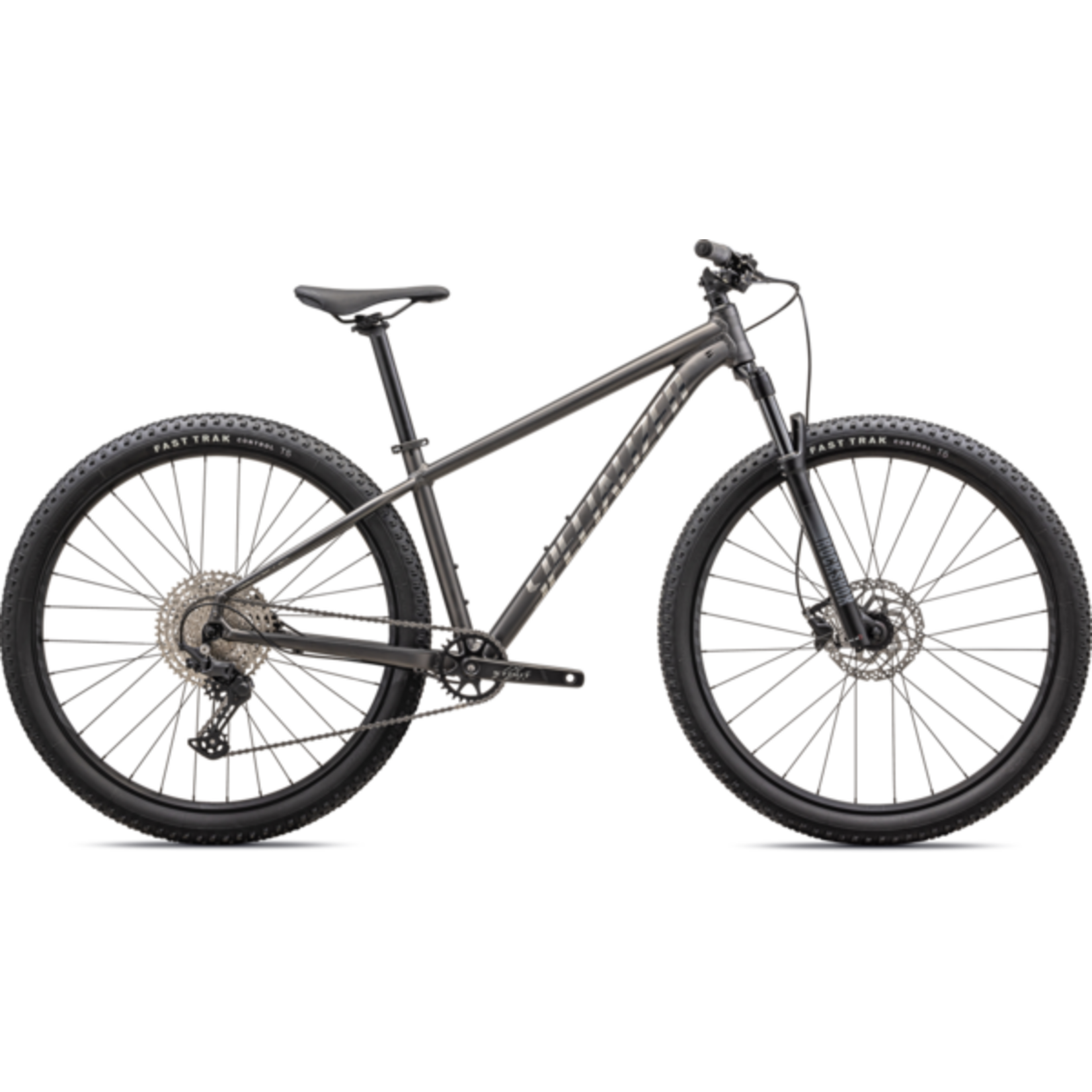 Specialized Roockhopper Expert Satin Smoke/Gloss Chrome